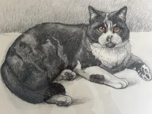 Ella van Schaik - Poes ! kopen? Bied vanaf 1!