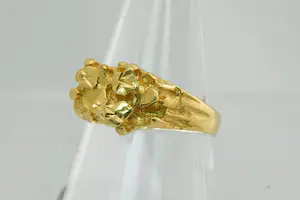 38 - Elegante Surinaamse 18 Krt geelgouden  unisex "Nugget" ring kopen? Bied vanaf 240!