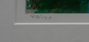 Henk van Vessem - grote zeefdruk - ingelijst kopen? Bied vanaf 59!