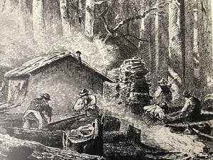 Niet of onleesbaar gesigneerd - Houtbewerkers in het bos kopen? Bied vanaf 1!