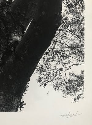 Norbert Buchsbaum - Gelatine zilverdruk - 1979 - 'Bali' - Gesigneerd kopen? Bied vanaf 45!