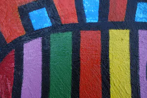 Karen van Noort - Kleurvogel Bianca kopen? Bied vanaf 35!