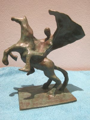 Ronald Tolman - De Blauwe Ruiter. kopen? Bied vanaf 285!