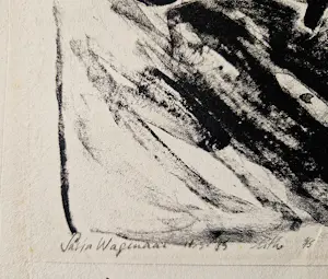 Sasja Wagenaar - monochrome litho - zeer kleine oplage (3/5) - potloodgesigneerd kopen? Bied vanaf 38!