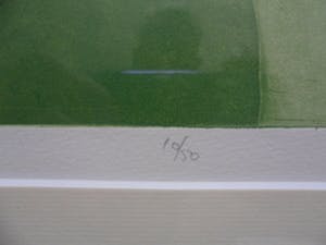 Koosje Wagenaar - Kleurenlitho,titel,"Indian Summer". kopen? Bied vanaf 10!
