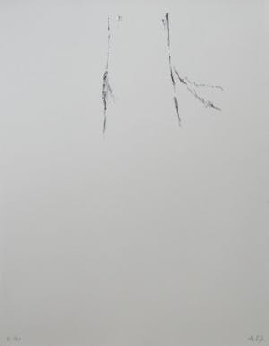 Armando - Der Baum kopen? Bied vanaf 1!