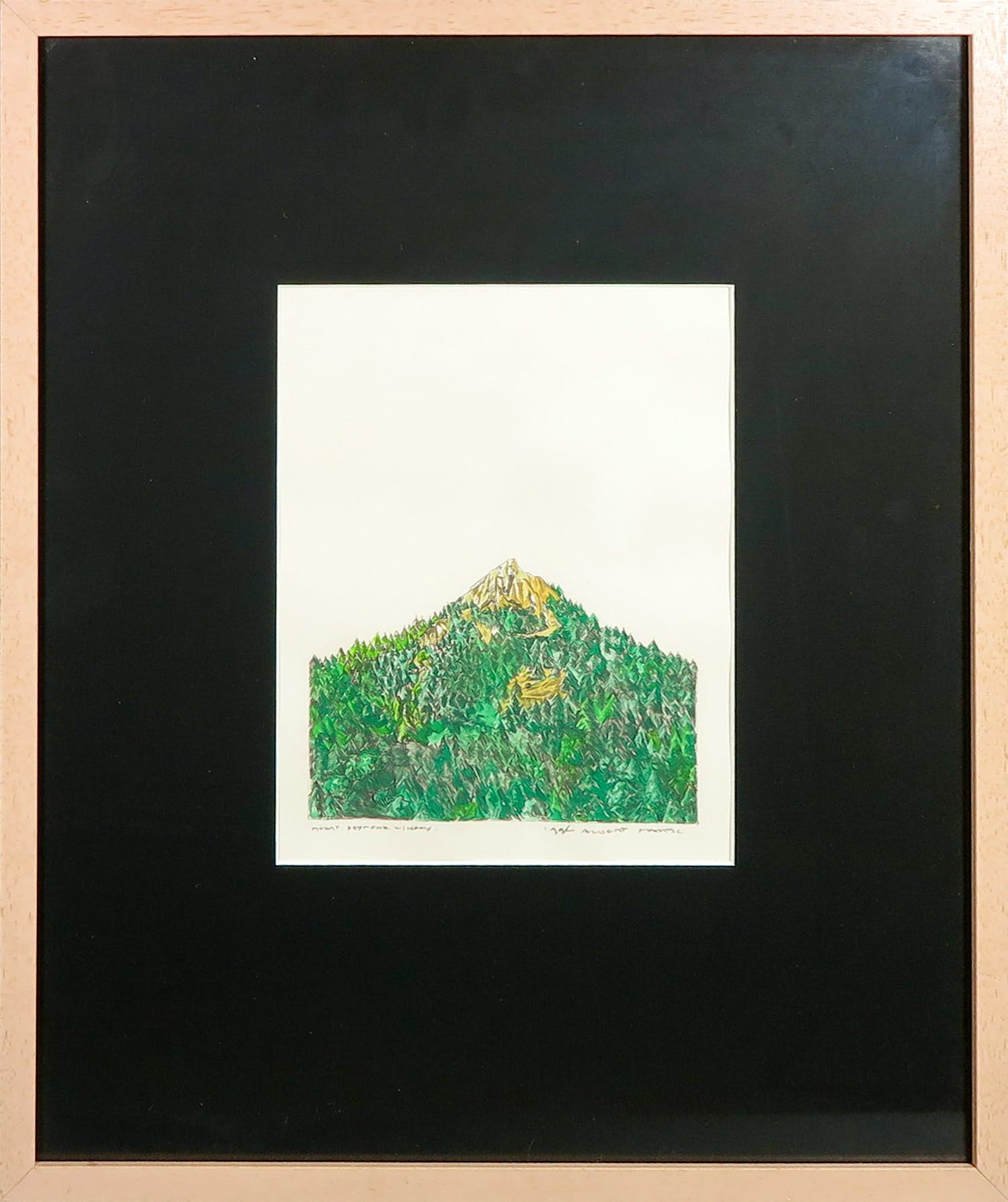 Niet of onleesbaar gesigneerd - Gemengde techniek op papier, Mount Seymour - Ingelijst kopen? Bied vanaf 1!