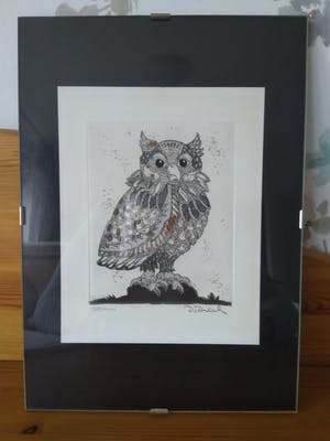 Simon Dittrich - Kleine Eule kopen? Bied vanaf 15!