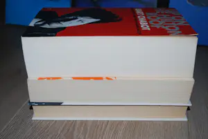 Herman Brood - 3 boeken en 2 hoogwaardige artprints op canvas spieraam (40x60 cm) kopen? Bied vanaf 70!