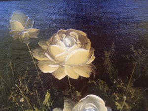 Robert Cox - Witte rozen. kopen? Bied vanaf 50!