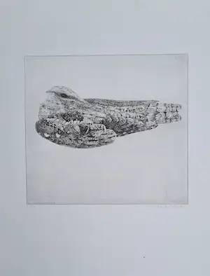 Charles Donker - Nachtzwaluw- handgesigneerde ets kopen? Bied vanaf 295!