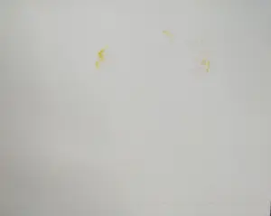 Paulien Wittenrood - Laureatenmap met 1 ets en 1 litho kopen? Bied vanaf 67!