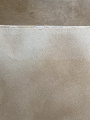 Corneille - Femme, Oiseau et fleur exotique kopen? Bied vanaf 50!