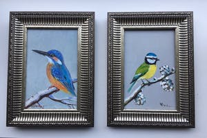 Henk Poeder - Vogeltjes kopen? Bied vanaf 79!