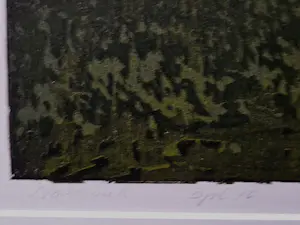 Dianne Bakker - Grote "reductie" Houtsnede "verscholen" zeer kleine oplage (10) - gesigneerd kopen? Bied vanaf 75!