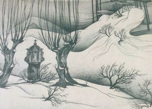 Oscar Hector Bonnevalle - Winter in Flander - the hidden woman kopen? Bied vanaf 1!