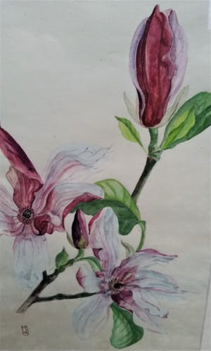 Niet of onleesbaar gesigneerd - Prachtige aquarel , met monogram, in een goede staat kopen? Bied vanaf 1!