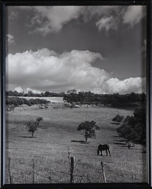 Paul Huf - Lot van twee foto's, Normandië kopen? Bied vanaf 1!