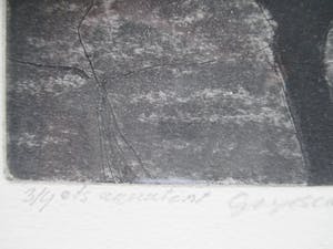 Han Kniphorst - Ingelijste Ets Aquatint kopen? Bied vanaf 25!