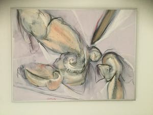 Peter John Voormeij - The mouth of sleep kopen? Bied vanaf 495!