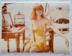 Stefanie Schneider - STELLAR, signiert und 4/10 nummeriert kopen? Bied vanaf 200!