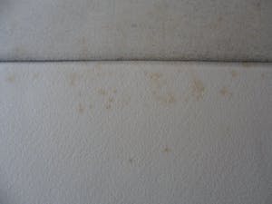 Sepp Frank - Ets. Titel. "Apostel Markus". kopen? Bied vanaf 15!