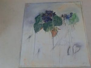 Bruno Bruni - FIORE (Kleurenlitho - handgesigneerd) ! Nu laatste keer: vanaf €1 !! kopen? Bied vanaf 1!