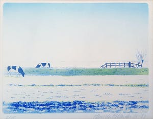 Hans den Hollander - kleurenets met koeien in de wei - 2/15 kopen? Bied vanaf 25!