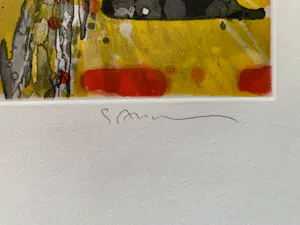 Gottfried Salzmann - New York Taxi's - litho kopen? Bied vanaf 100!