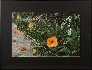 Paul Huf - Foto, Zonder titel - Ingelijst kopen? Bied vanaf 1!