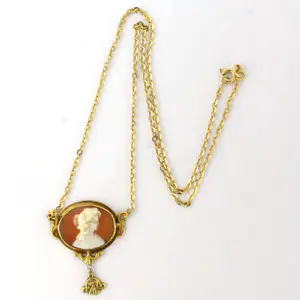 14k geelgouden collier bezet met camee - 43 cm kopen? Bied vanaf 500!