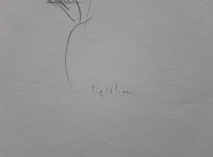 Aat Veldhoen - Lotje, slapend - Rotaprint kopen? Bied vanaf 50!