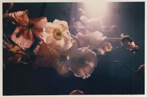 Marc Mulders - Fotografie, Atelier - Ingelijst kopen? Bied vanaf 75!