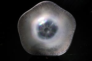 Willem Rozendaal - stervormige schaal ( Maastricht ) coquille kopen? Bied vanaf 25!