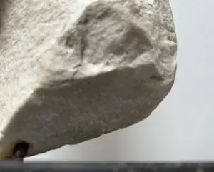 Francesca Zijlstra - Marmeren sculptuur | 'Tors van een vrouw' UNIEK WERK kopen? Bied vanaf 1500!