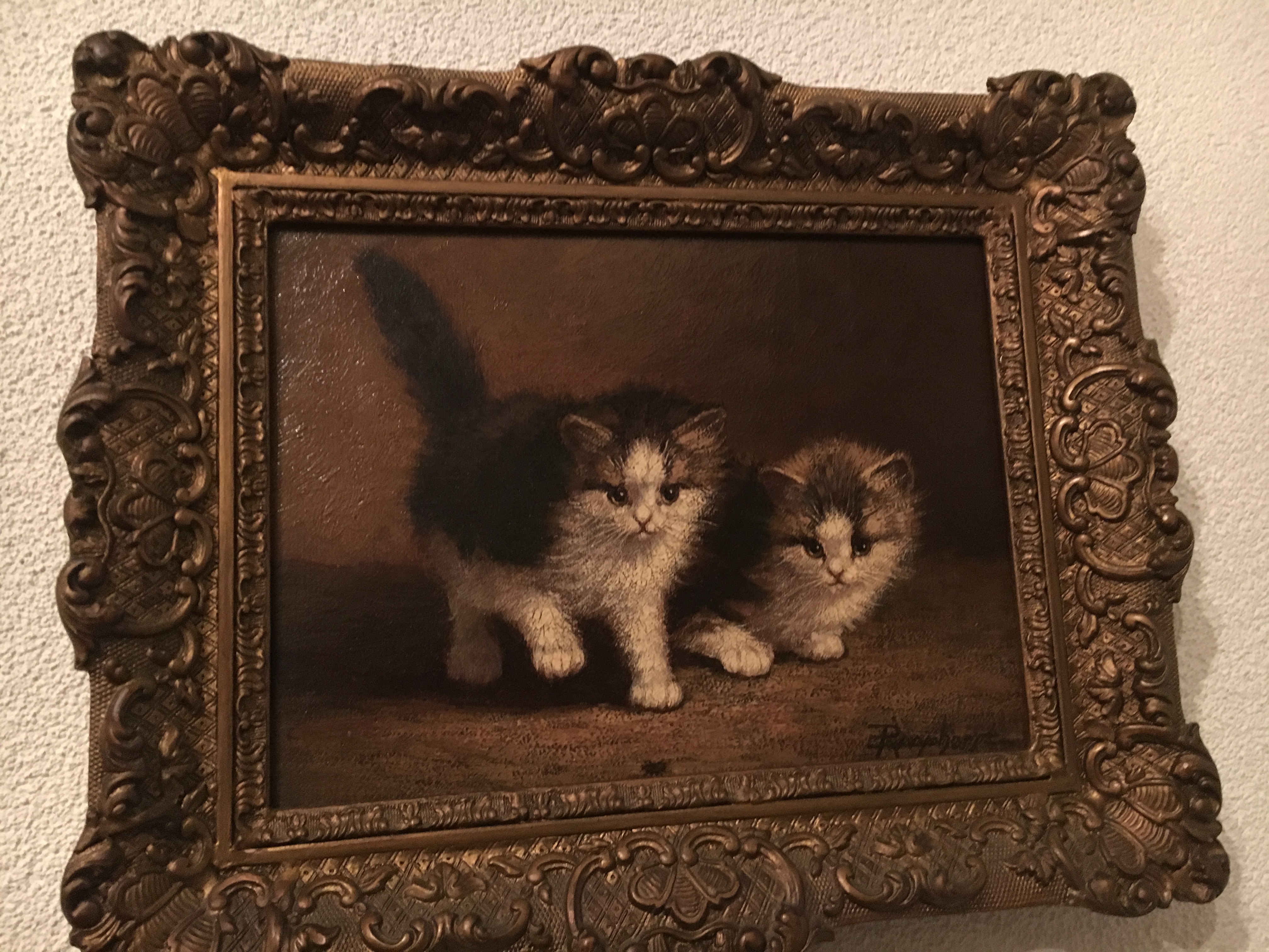 Cornelis Raaphorst - 2 katten kopen? Bied vanaf 1000!