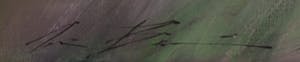 Wim de Bruin - Acryl op doek, Ritme in groen - Ingelijst (Groot) kopen? Bied vanaf 1!
