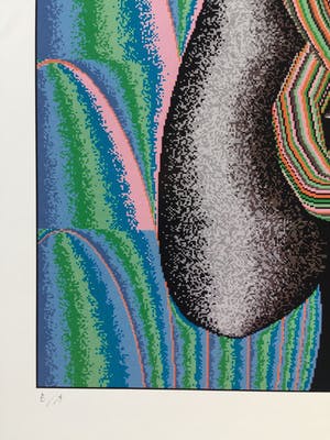 Shinkichi Tajiri - zeldzame knoop - gesigneerde computerprint - incl. originele bewaarmap kopen? Bied vanaf 150!