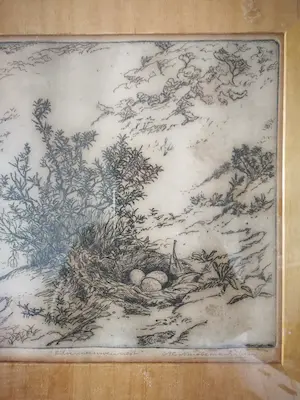 Antonius Cornelis Ninaber van Eyben - Zilvermeeuwennest kopen? Bied vanaf 59!