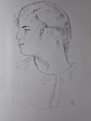 Pierre Auguste Renoir - La Vie & L'Oeuvre de Pierre-Auguste Renoir kopen? Bied vanaf 50!