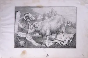 Reinier van Persijn - Naar Jacob Cuyp, Kopergravure, Twee Schapen uit Diversa Animalia Quadrupedia kopen? Bied vanaf 1!