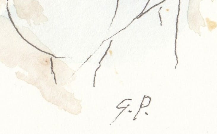 Gerard Princee - Aquarel - Paard kopen? Bied vanaf 1!