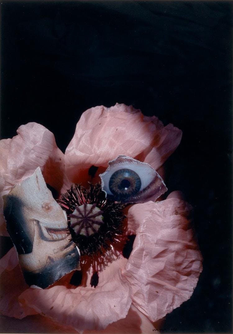 Marc Mulders - chromogenic print 2001 kopen? Bied vanaf 150!