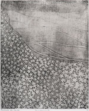 Frits Anton van der Horst - Ets, Zonnebloemen kopen? Bied vanaf 1!