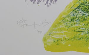 Pieter Defesche - Litho, Z.T. Landschap kopen? Bied vanaf 1!