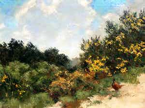 Jo Schrijnder - Fazant in duinlandschap, olieverf op doek (netjes ingelijst, groot) verkocht voor € 1100!