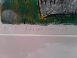 Frans Franciscus - Veronica in Kaapstad kopen? Bied vanaf 25!