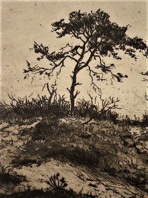 Martin van Waning - Mooie grote Droge Naald Ets - Duinlandschap Schiermonnikoog - gesigneerd kopen? Bied vanaf 29!