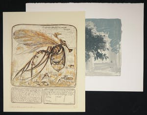 Joseph Cals - en Rene Glaser, Lot van twee litho's, Hommage aan Graham Sutherland + Z.T. kopen? Bied vanaf 1!