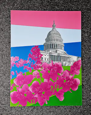 Franco Costa - Originele z.g.a.n. Zeefdruk 1978 serie "Washington capitol hill " gesigneerd kopen? Bied vanaf 58!